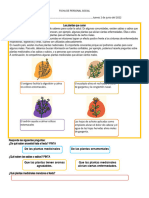 4 - Ficha de Personal Social