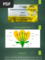 Pollination and Reproduction in Crop Plants