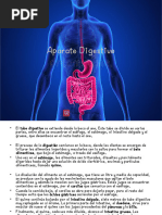 Tema 14 Sistema Digestivo