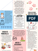 Folleto Informativo Sobre Gatitos