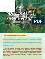 Areas Naturales Protegidas