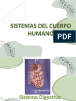 Sistemas Digestivo, Excretor y Respiratorio