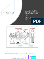 Cadena de Transmisión de Enfermedades