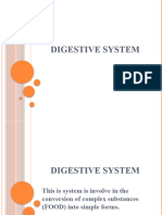 7 Digestive System