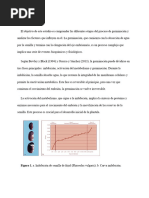 Germinación