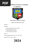 LM Informe2 Mesa6