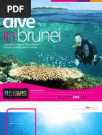 Brunei: A Guide To Brunei Darussalam's Diverse Marine Environment