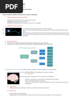 Unidad 7 Coordinacion y Nervios