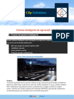 FLX Smart City Soluciones Sisteme Inteligente de Siguranta Rutiera