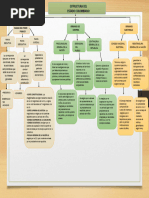 Mapa Conceptual Del Estado