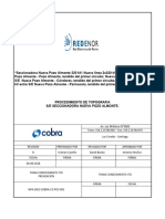 NPA SSEE COBRA CS PCD 002 - Topografía - Rev.B