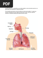 Sistema Respiratório