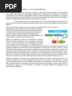 La Alimentación y Sus Beneficios