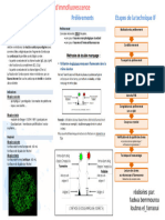 La Fiche de Réactions D'immofluorescence