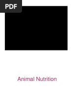 Animal Nutrition - 2023 2024