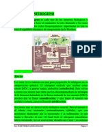 Ciclos Biogeoquimicos