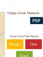 IPAS Kelas 5 - Organ Gerak Manusia (Tulang, Sendi, Otot)