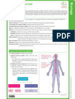 Summary Notes - Nervous System and Disease 2024