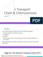 6 Electron Transport Chain Note