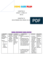 Nursing Care Plan 1