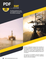 Introduction To Camelot Petroleum