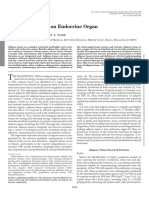 Adipose Tissue As An Endocrine Gland