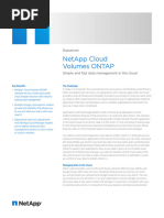 NA DS-3811-0819-NA-Cloud-Vol-ONTAP - DS