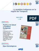 Seremi Salud Tarapacá - Pueblos Indígenas Participacion - AFC 17 Abril 2024