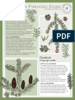 Ha Evergreens Foraging Chart