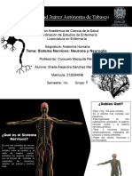 Neurona y Neuroglia Anatomia