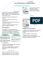 Metabolismo Energético