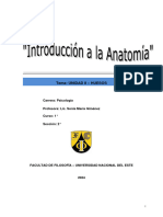 ANATOMIA MATERIAL DE APOYO. Unidad II