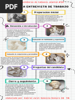 Infografia Fases de Entrevista de Trabajo