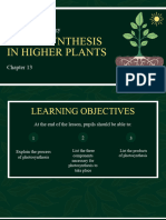 Photosynthesis in Higher Plants