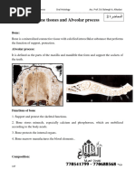 Bone Tissues and Alveolar Process