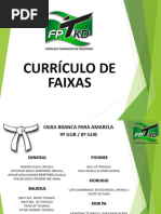 Curriculo Faixa 2024