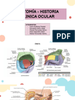 Tema 1 - Anatomía, Histología, Historia Clinica Ocular