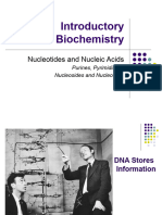 2.nucleic Acids Complete