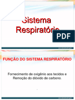 Sistema Respiratorio8º