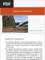 Alejandro Frost - Industria Maderera