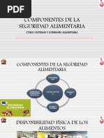 Componentes de La Seguridad Alimentaria