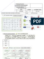 Examen para Nne 1er Trimestre