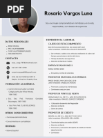 Curriculum Vitae Profesional Mujer Con Iconos Moderno Beige y Blanco - 20231201 - 221536 - 0000