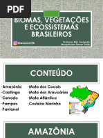 CURSO SELEÇÃO - Prof. Renan Smith - Biomas e Vegetações Do Brasil