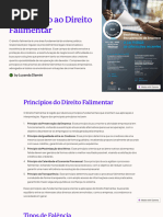 Introdução Ao Direito Falimentar Por Luyanda Dlamini