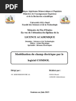 Modélisation Du Champ Électrique Par Le Logiciel COMSOL: Licence Academique