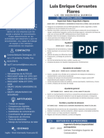 Lecf Curriculum Vitae