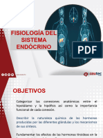 Fisiología Endocrina