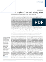 The Principles of Directed Cell Migration