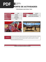 Reporte de Actividades: Programa Nacional Pais